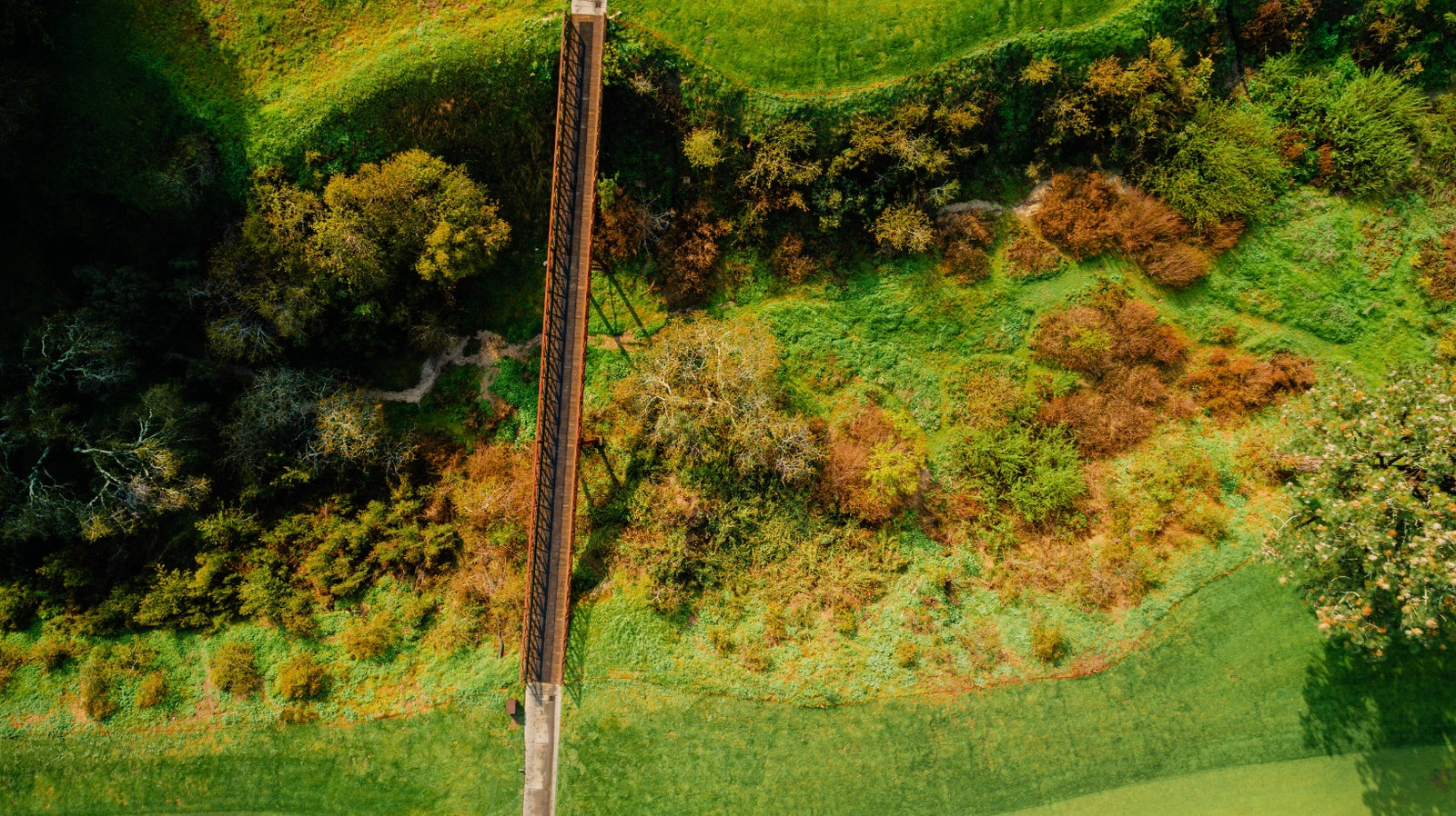 Pasatiempo - Above No. 11