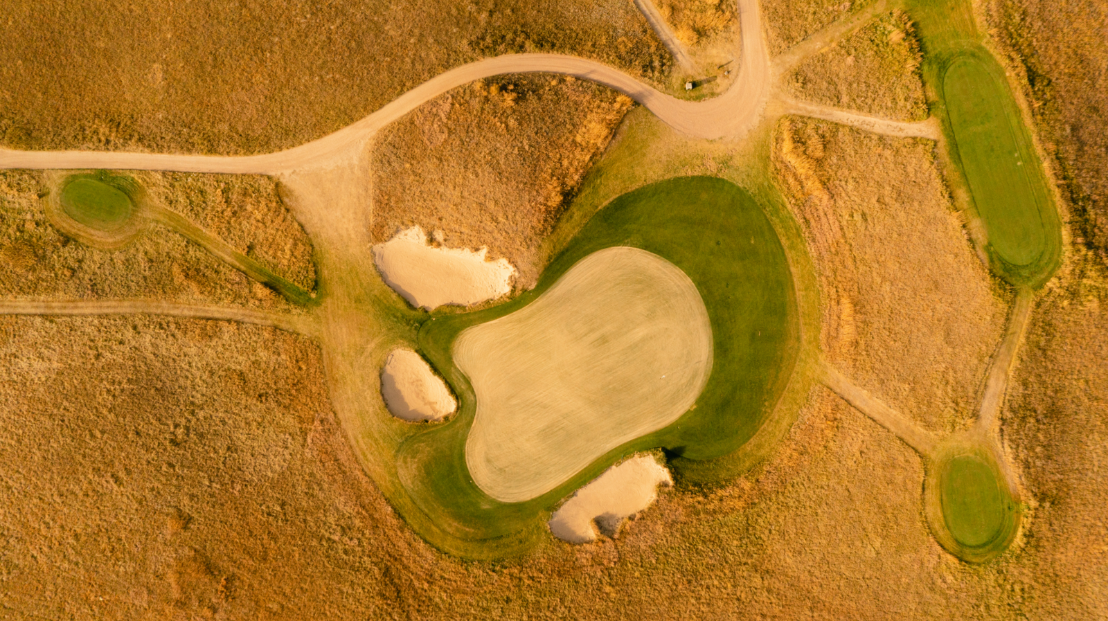 Wild Horse - Above No. 11