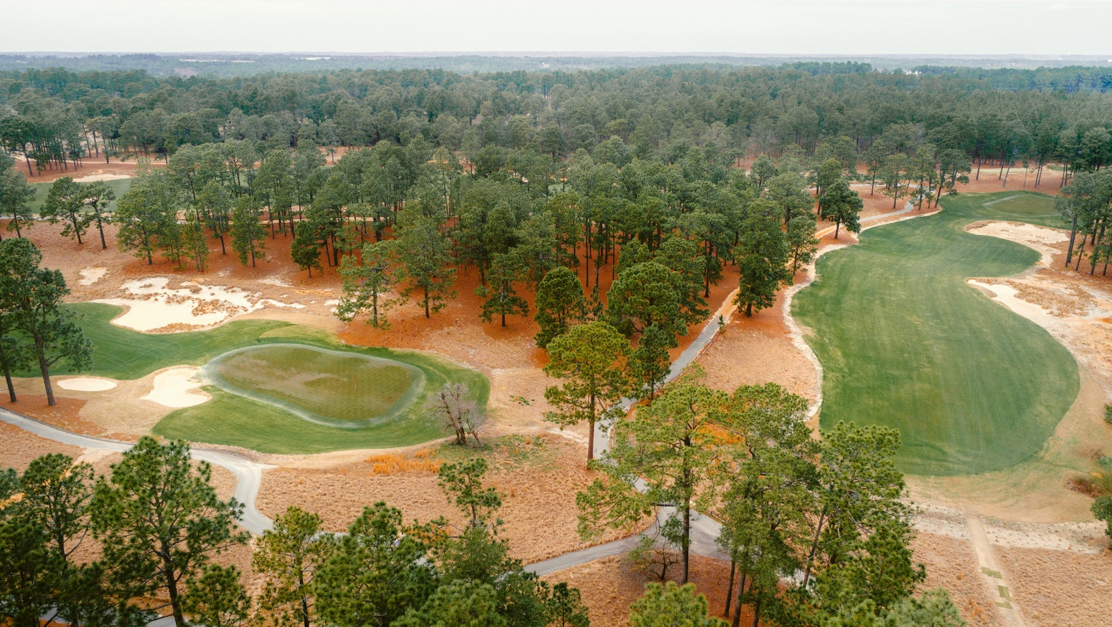 Pine Needles - Nos. 11 & 13