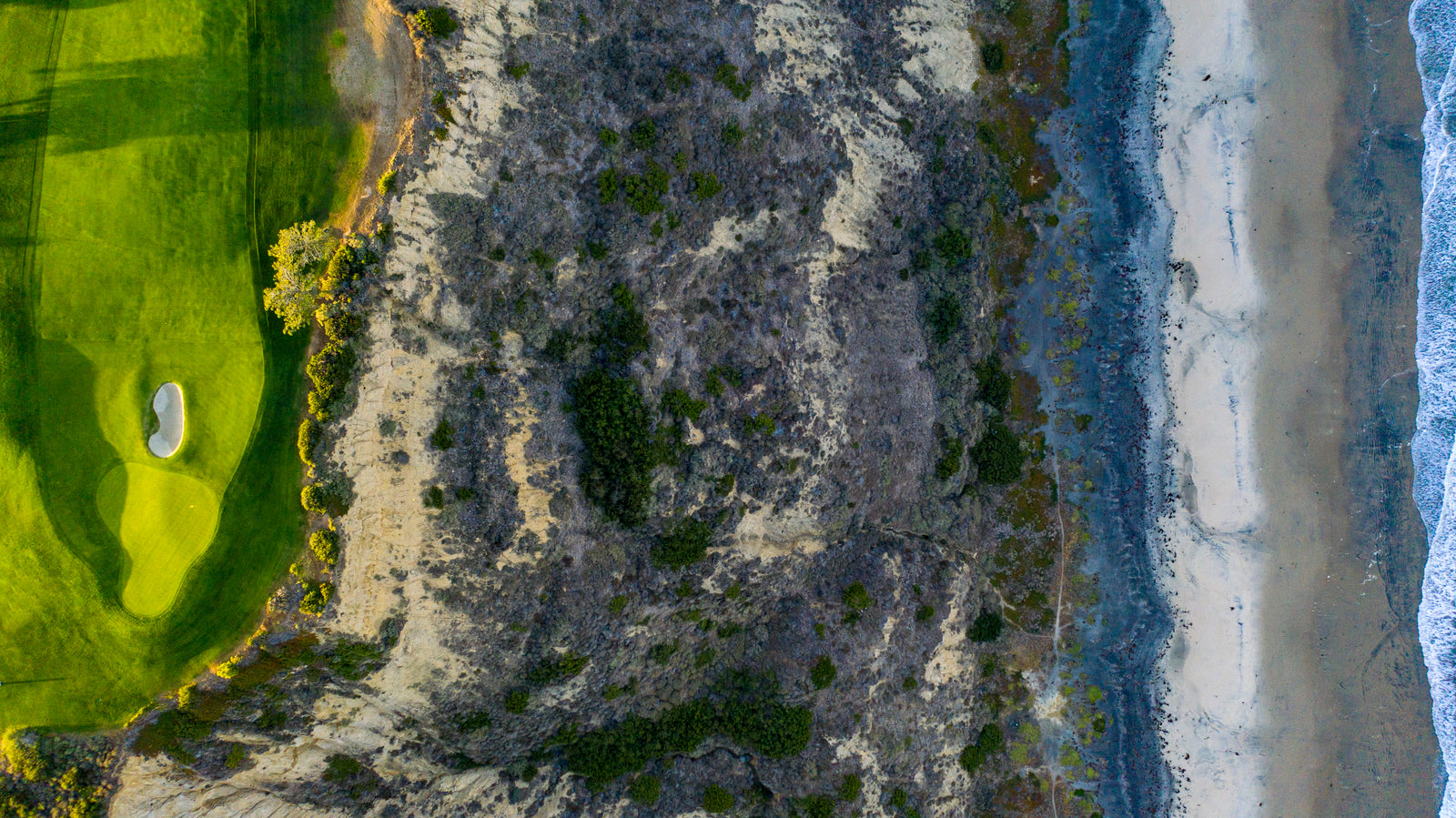 Torrey Pines South - Above No. 4