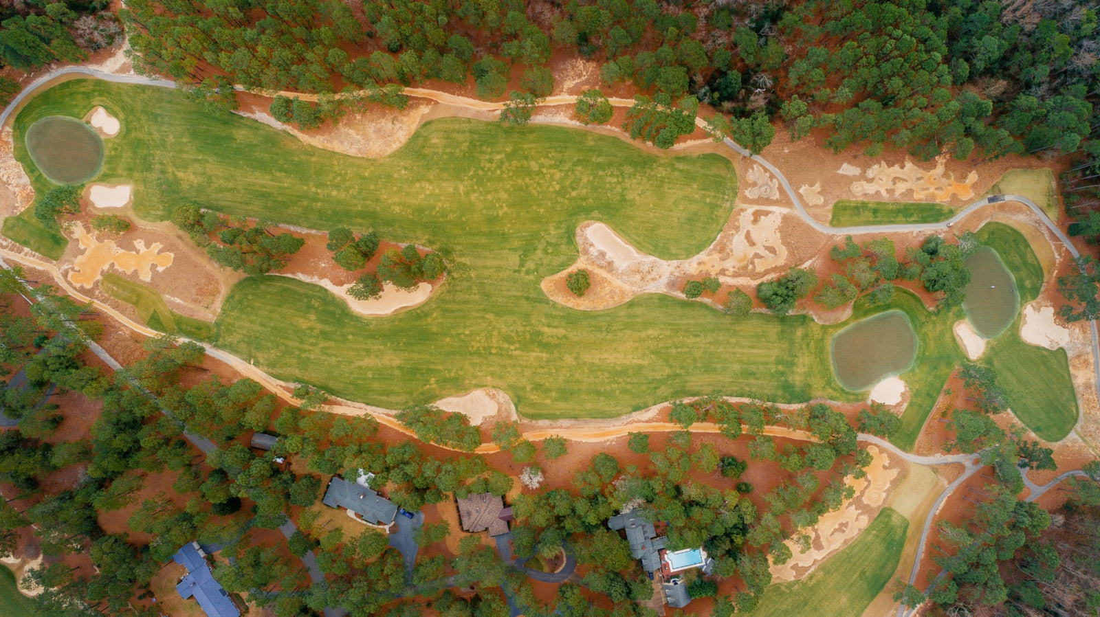 Pine Needles - Above Nos. 6 & 7