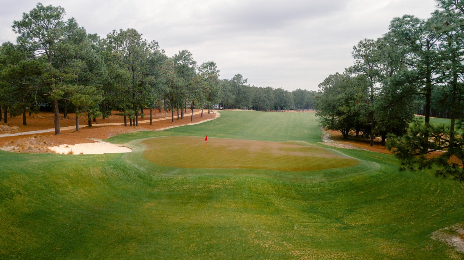 Pine Needles - No. 7