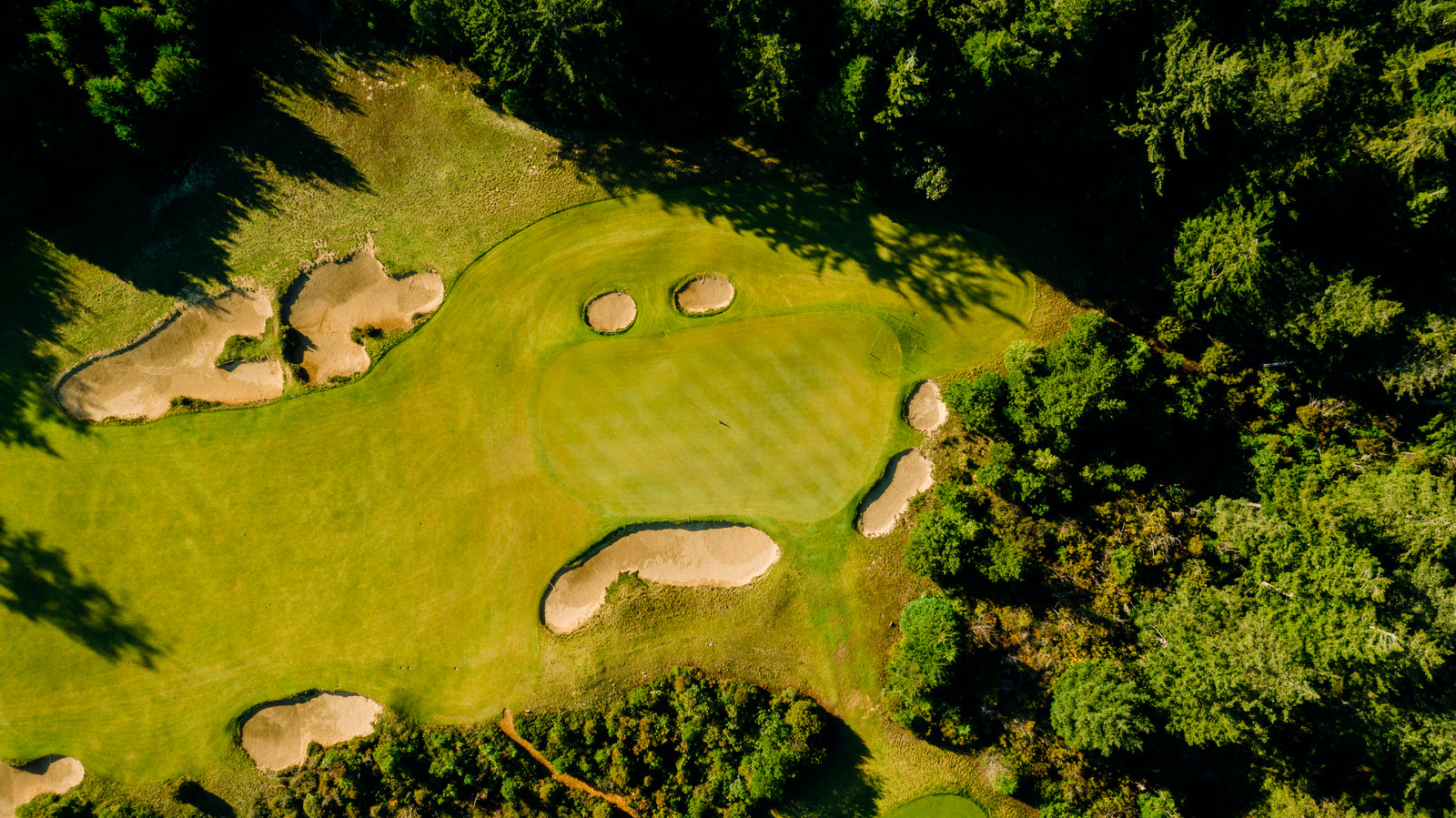 Bandon Trails - Above No. 8