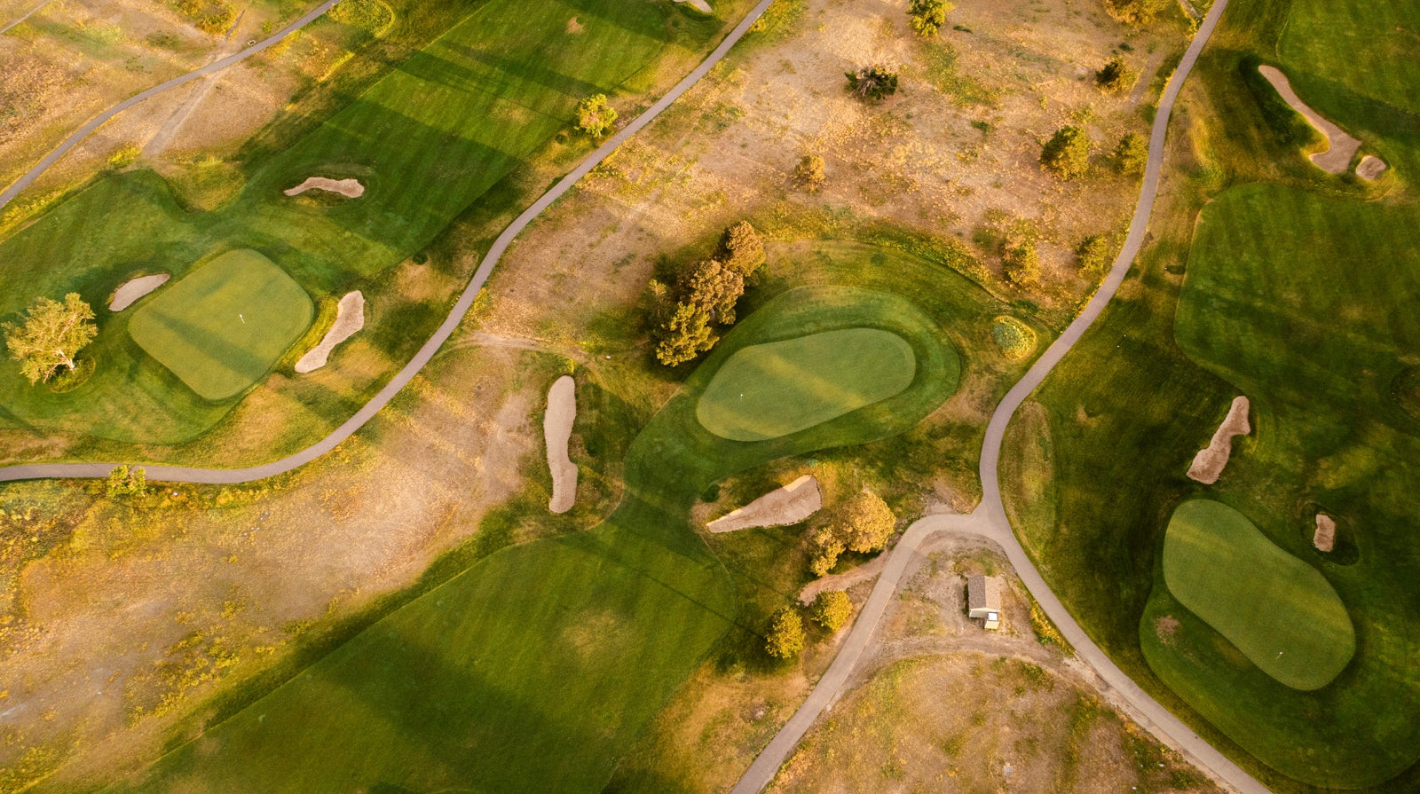 CommonGround - Nos. 8, 10, & 16