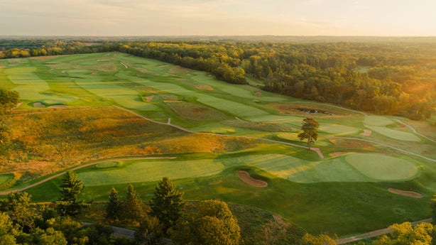 Lawsonia - Back Nine