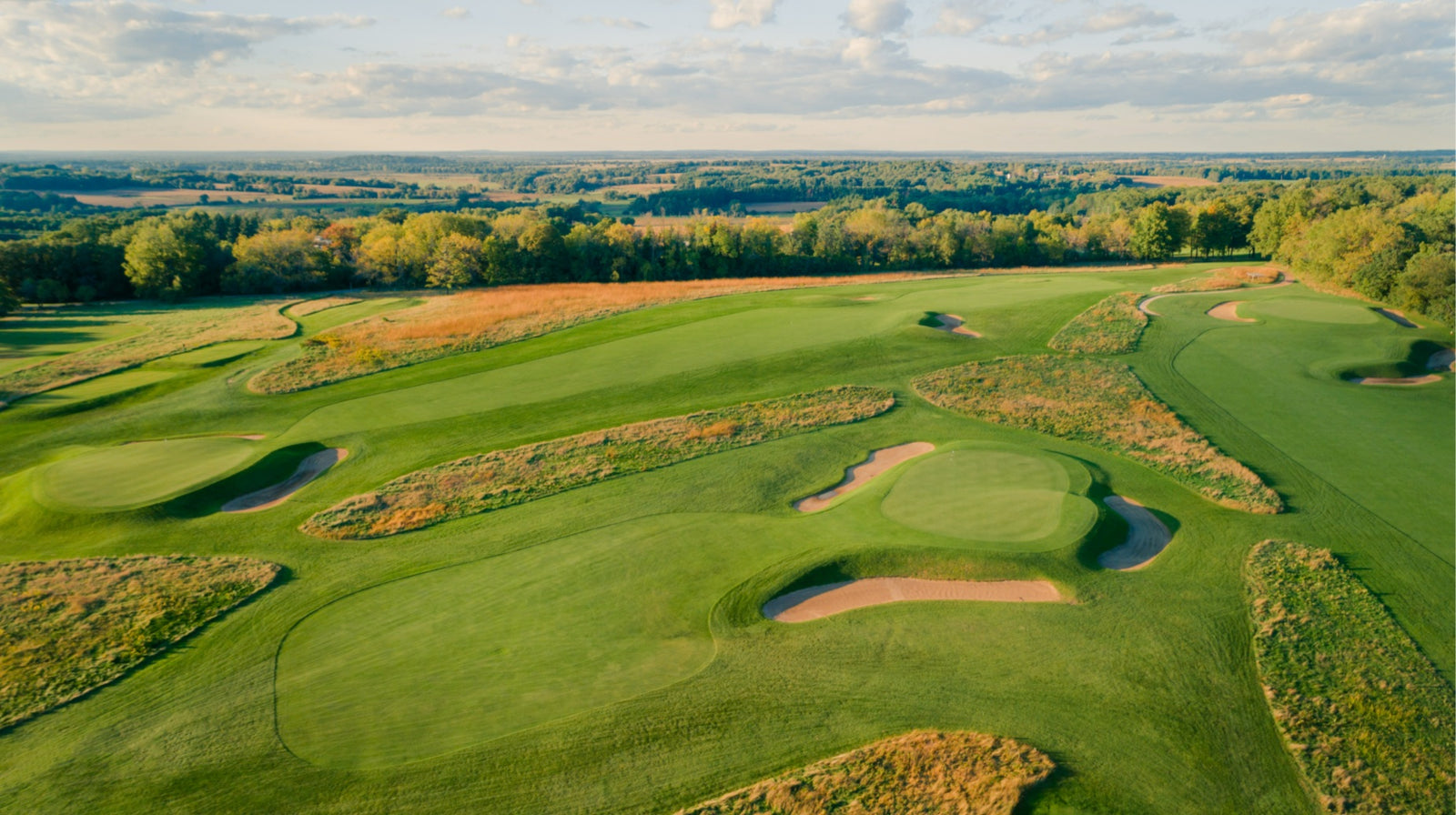 Lawsonia - Nos. 12, 16, & 17