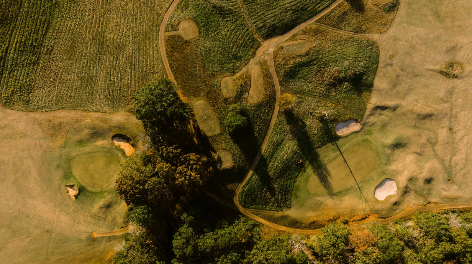 The Fields - Nos. 5 & 17