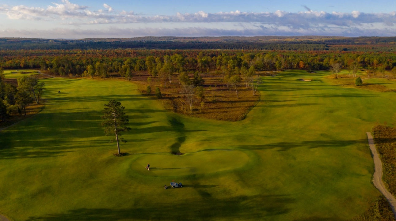 The Loop - Nos. 7 & 11