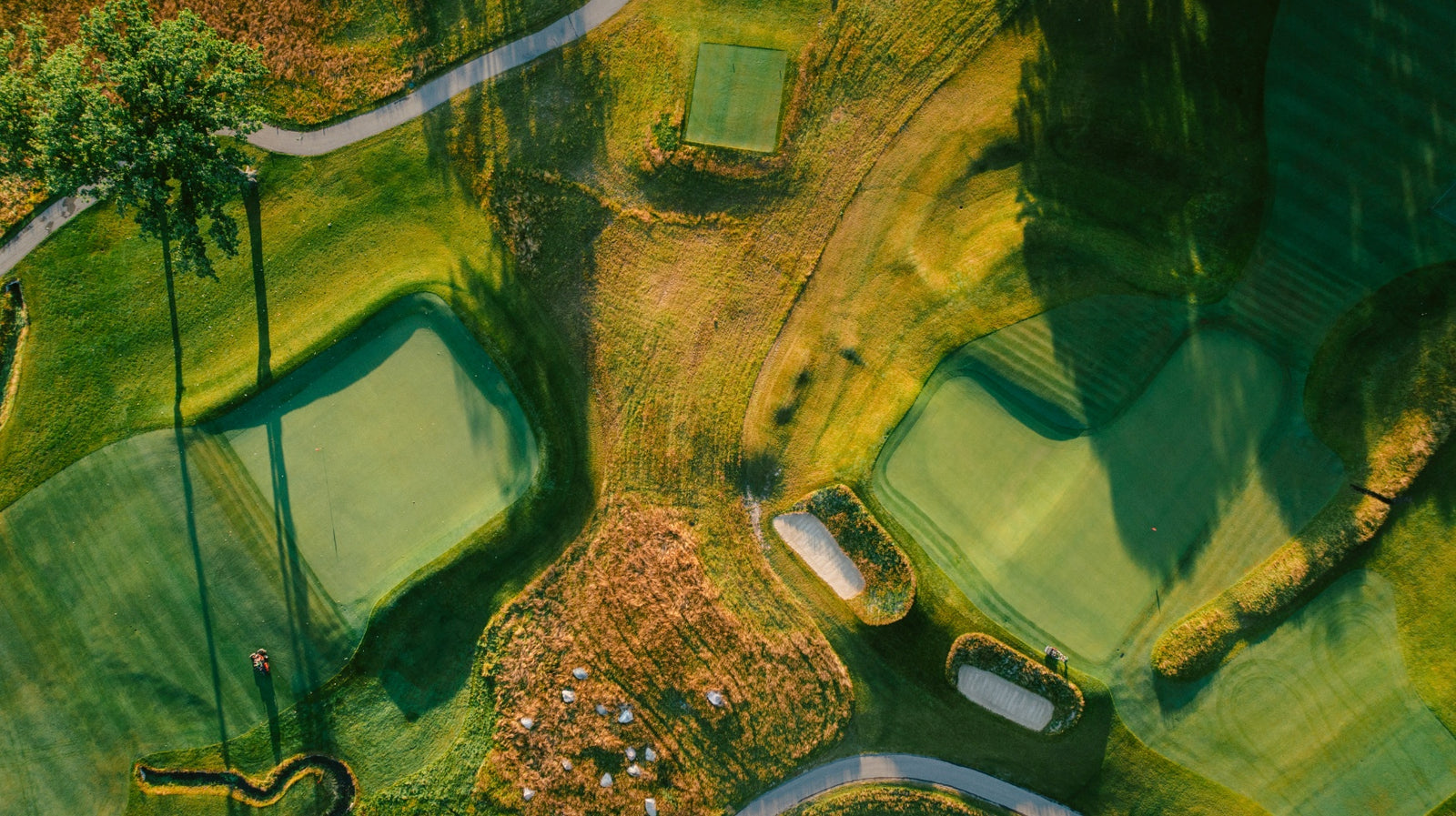 Meadowbrook - Above Nos. 3 & 5