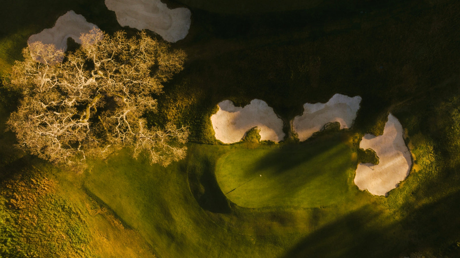 Orinda Country Club - Above No. 8
