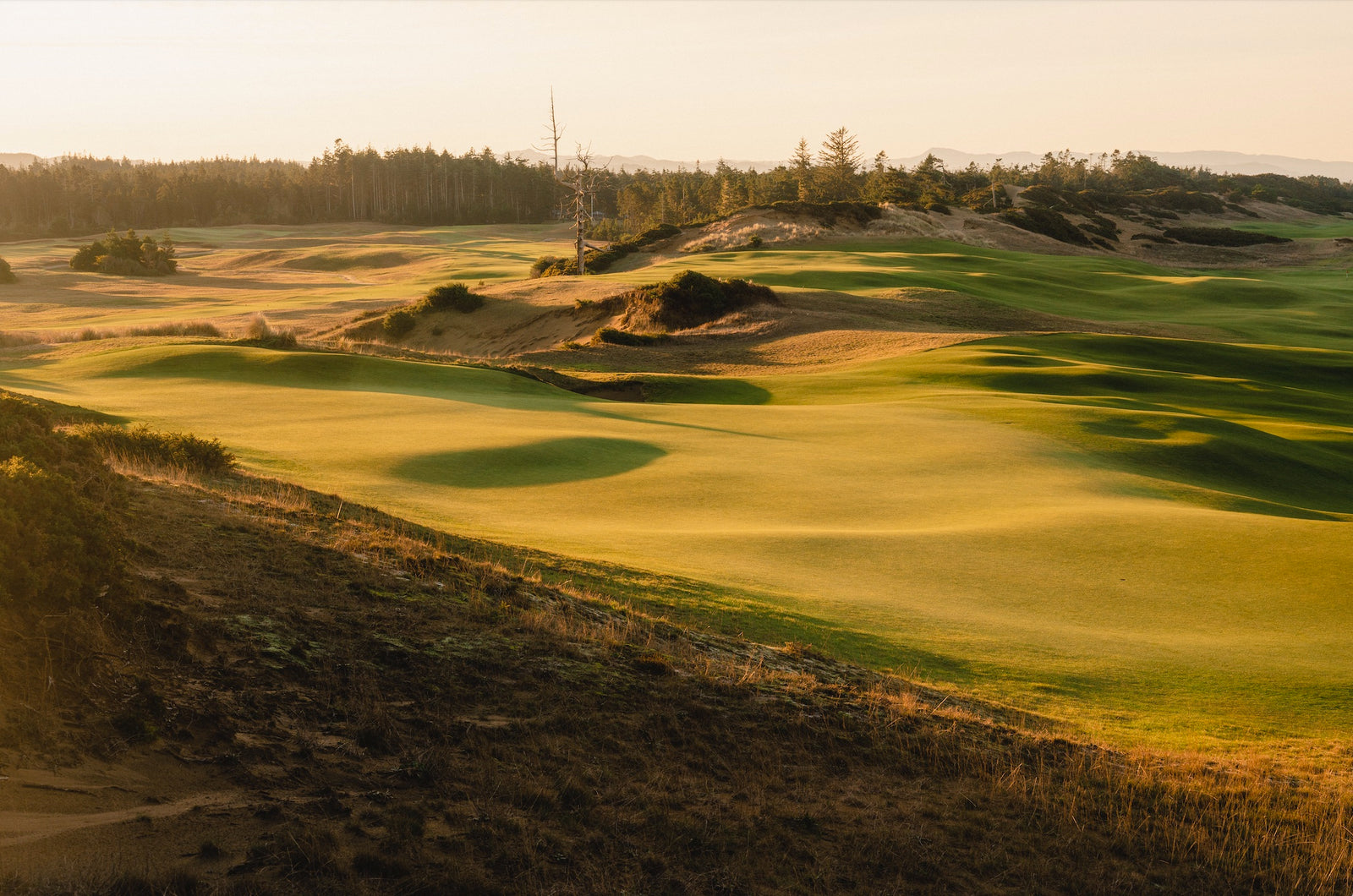 Old Macdonald - No. 14 - Maiden