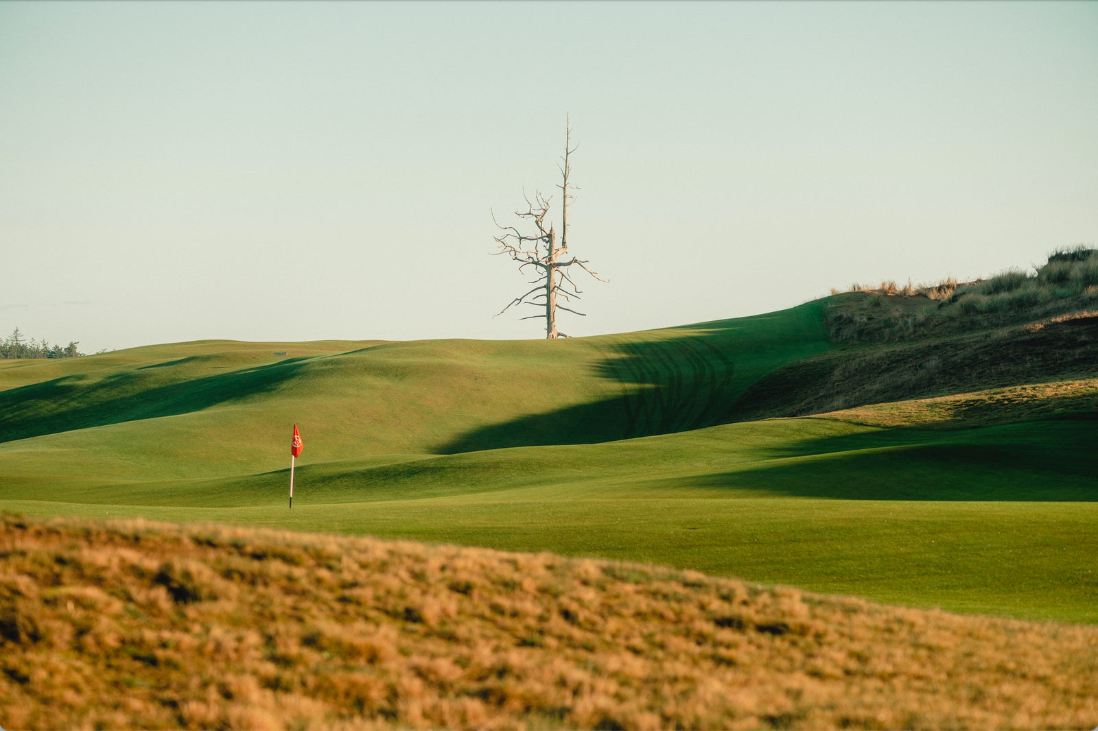 Old Macdonald - No. 3 & Ghost Tree