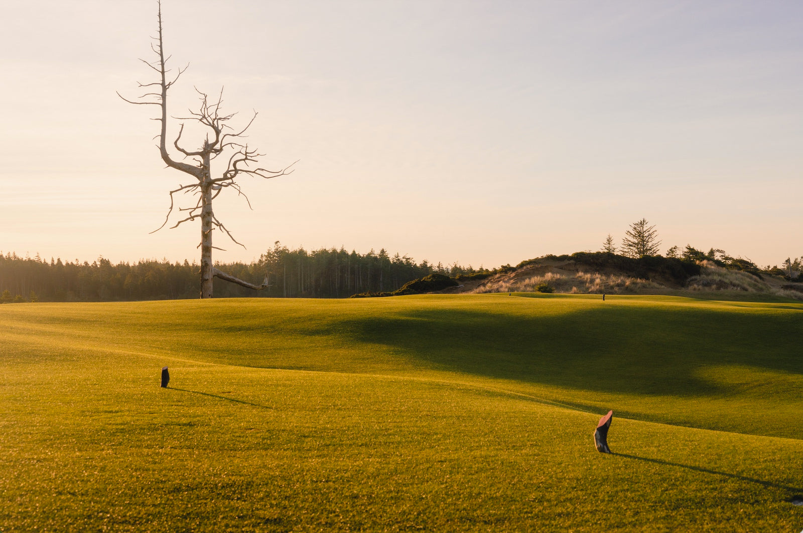 Old Macdonald - Tees and Ghost Tree