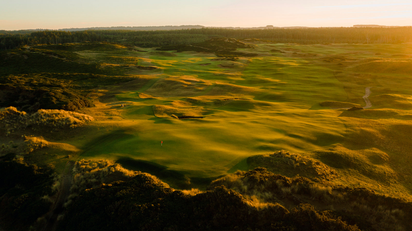 Old Macdonald - No. 15