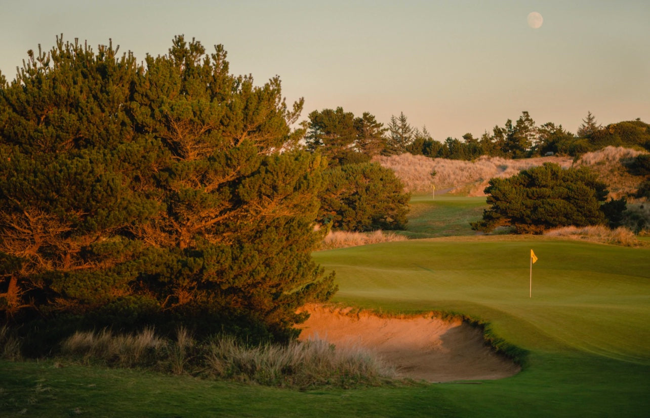 Pacific Dunes - Nos. 2 & 8 Greens