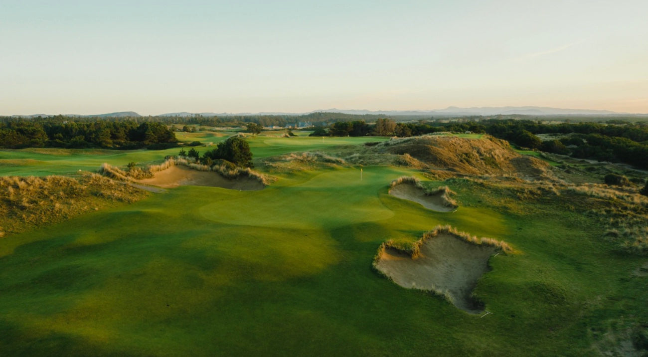 Pacific Dunes - No. 5