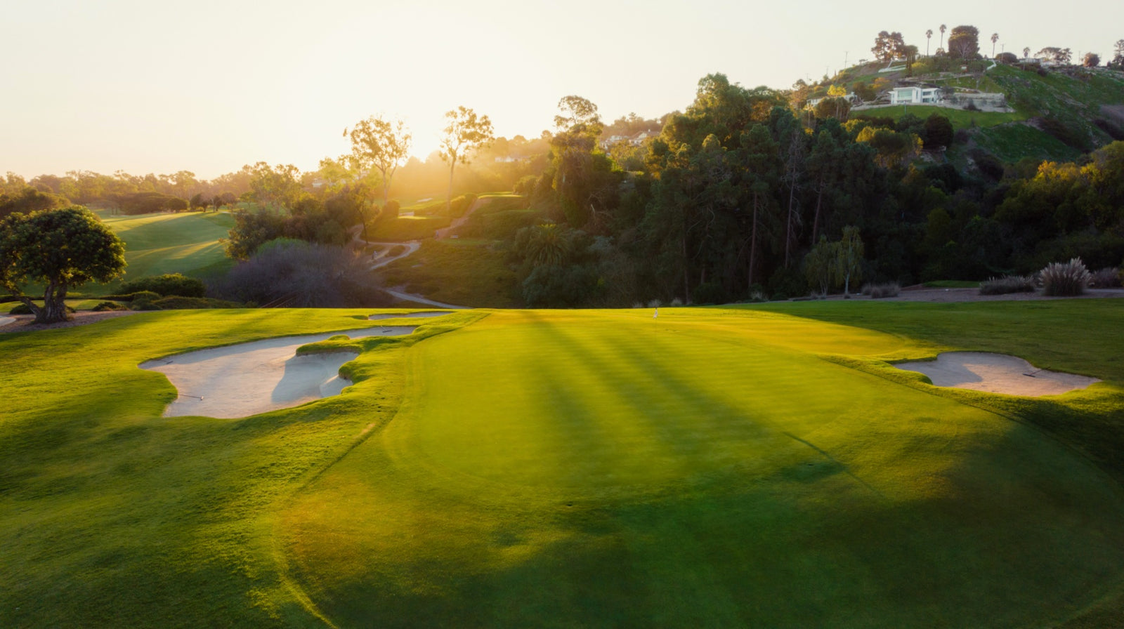 Palos Verdes - No. 2