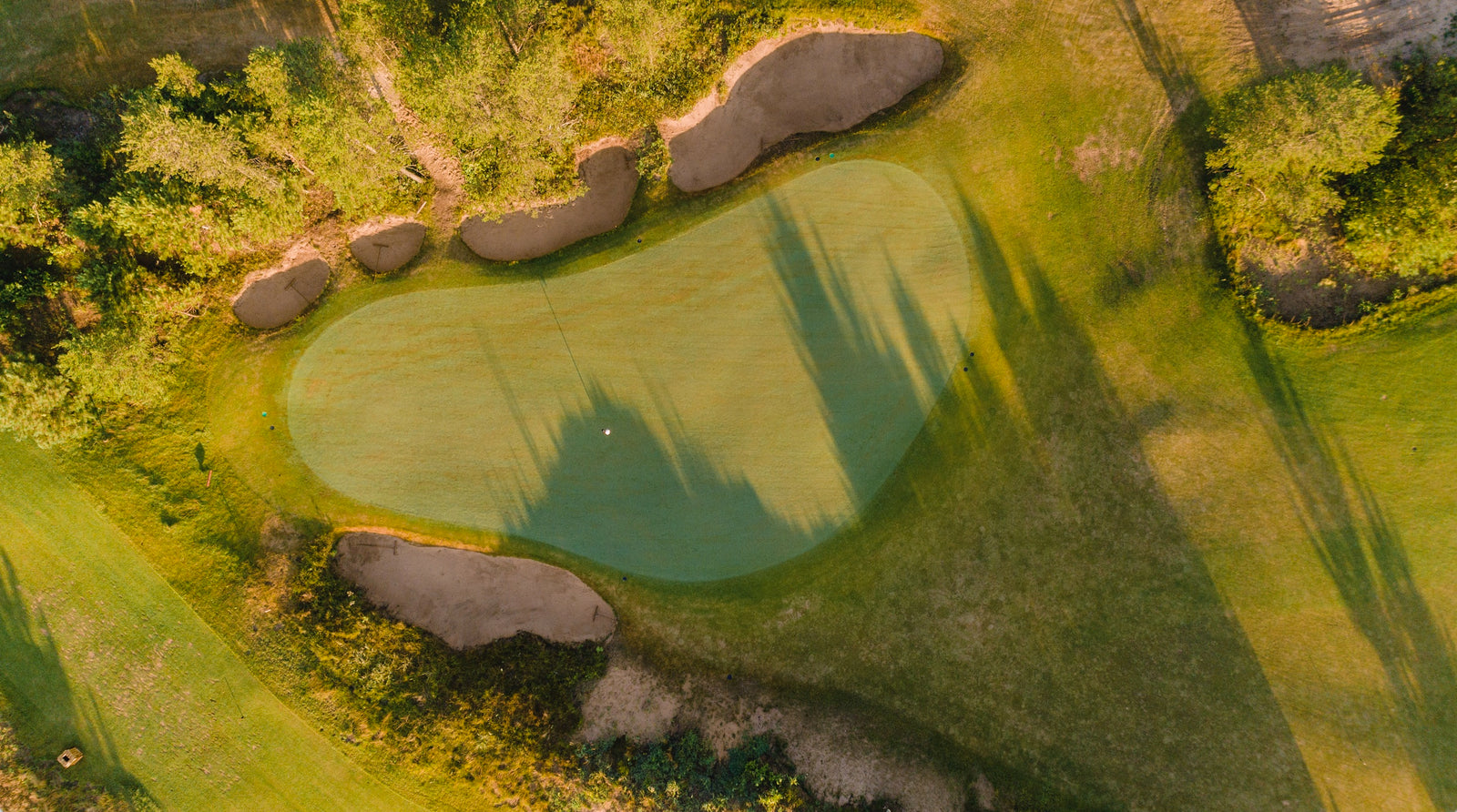 The Sandbox - Above No. 7