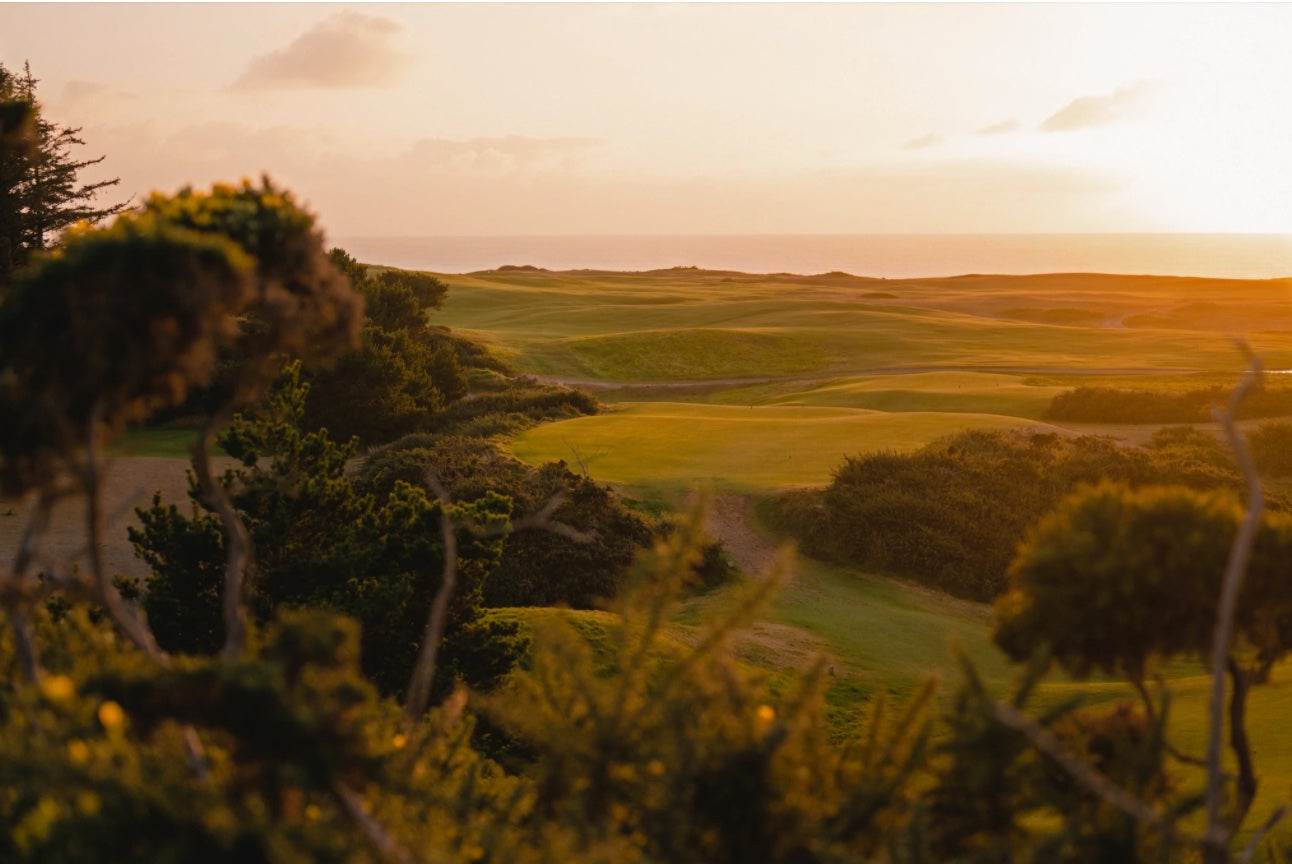 Sheep Ranch - Nos. 13 & 14