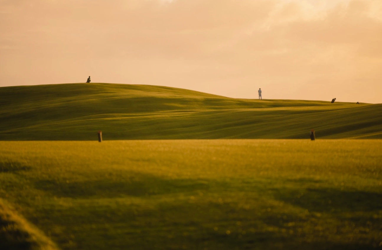 Sheep Ranch - No. 14