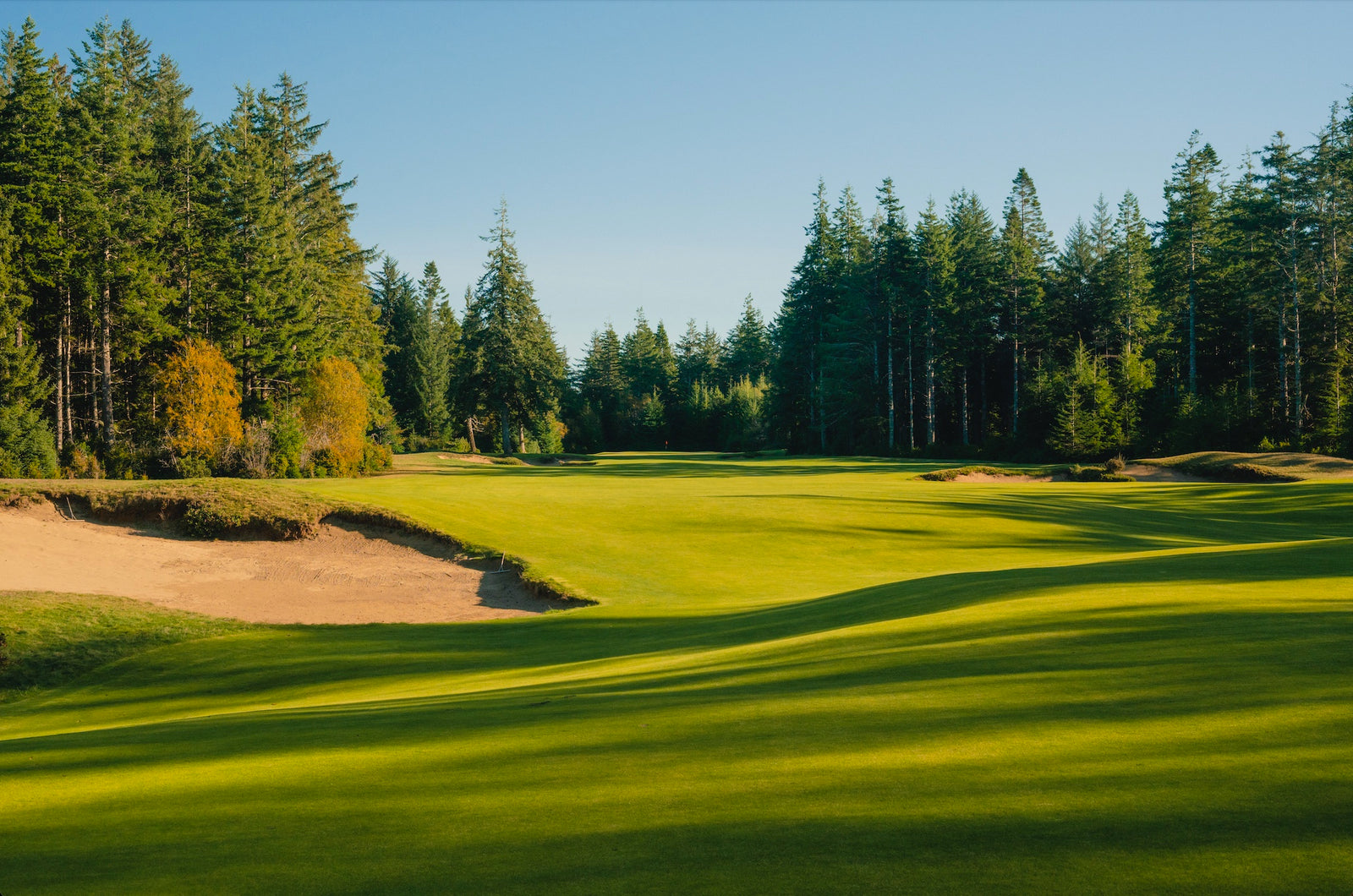 Bandon Trails - No. 9
