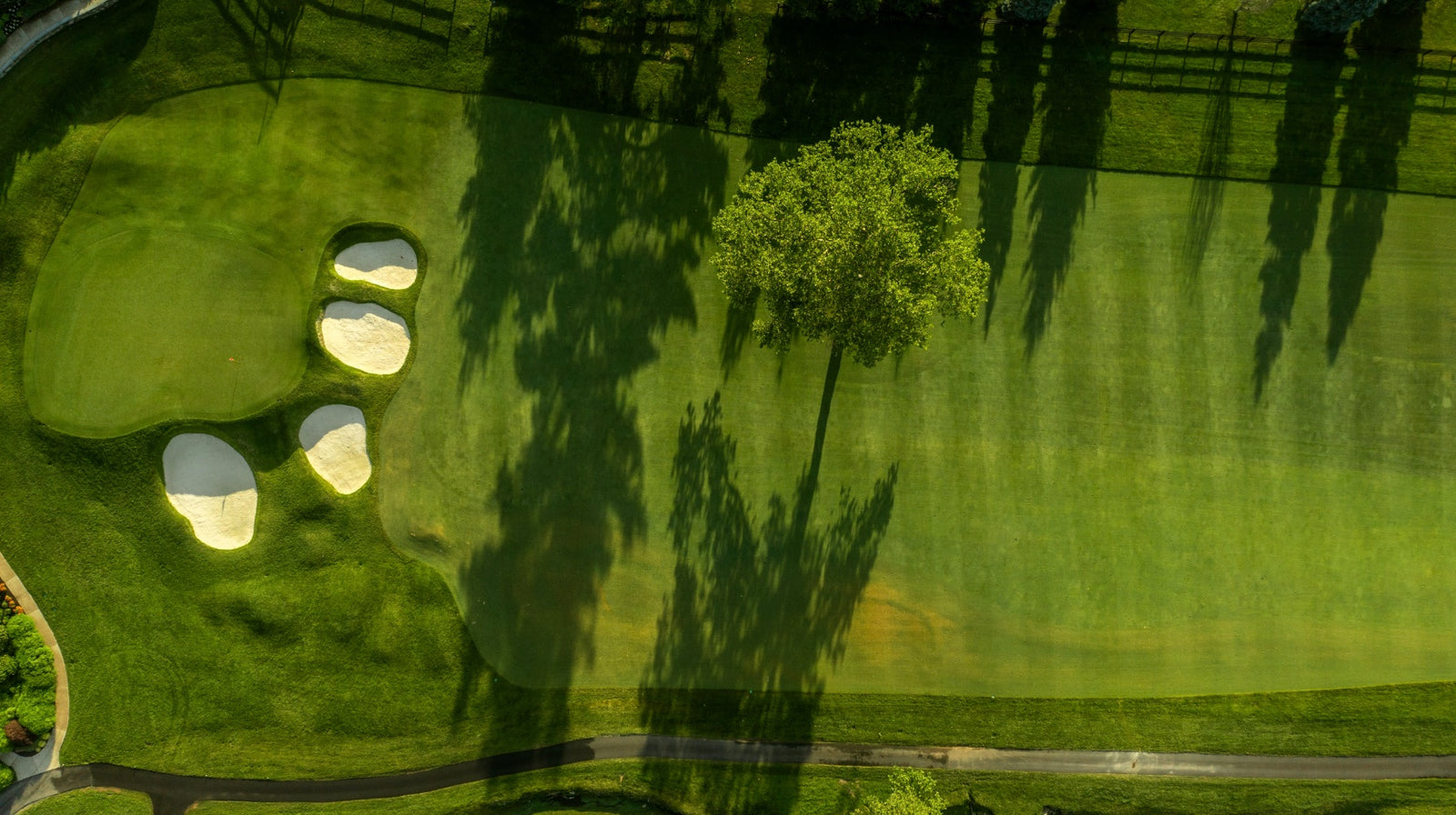 Llanerch - Above No. 18