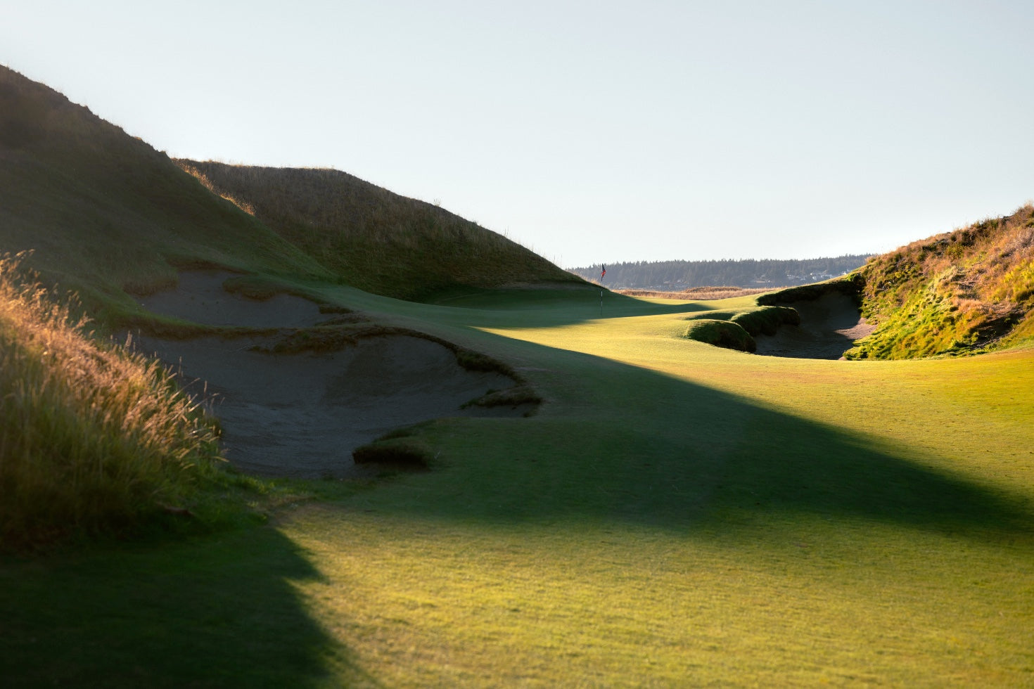 Chambers Bay - No. 10