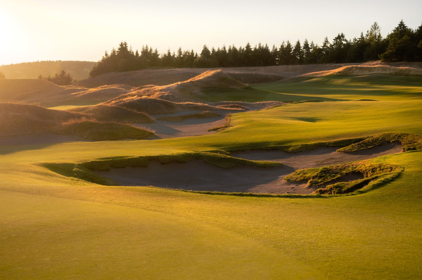 Chambers Bay - No. 13