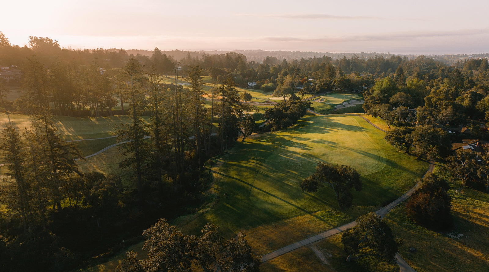 Pasatiempo - Above No. 16