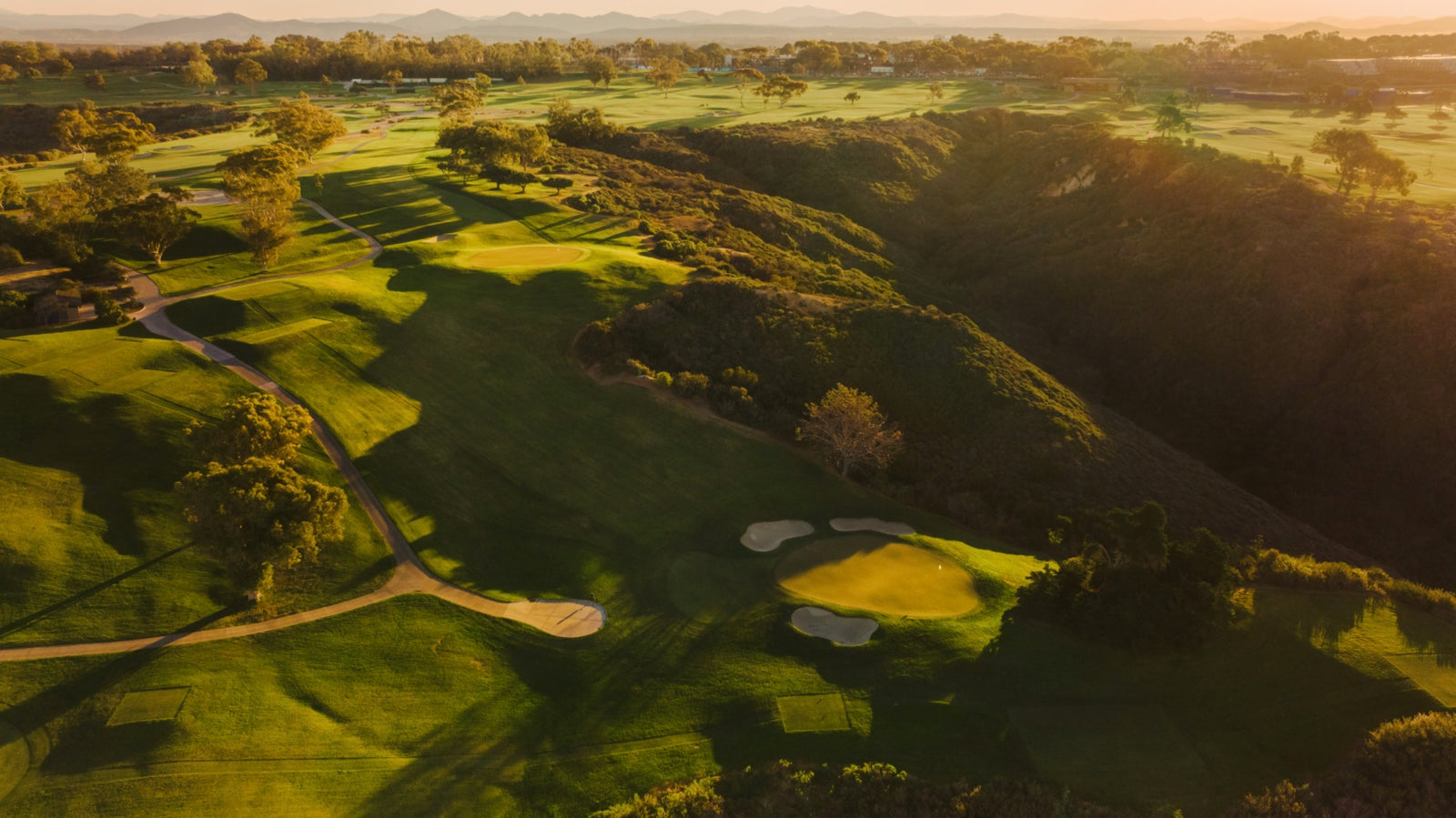 Torrey Pines North - Behind Nos. 14-15