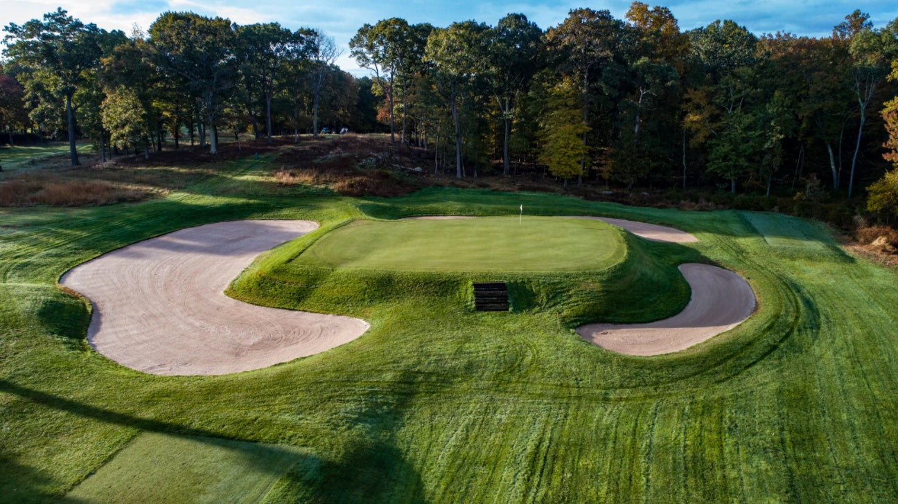 Yale - No. 5 - Short