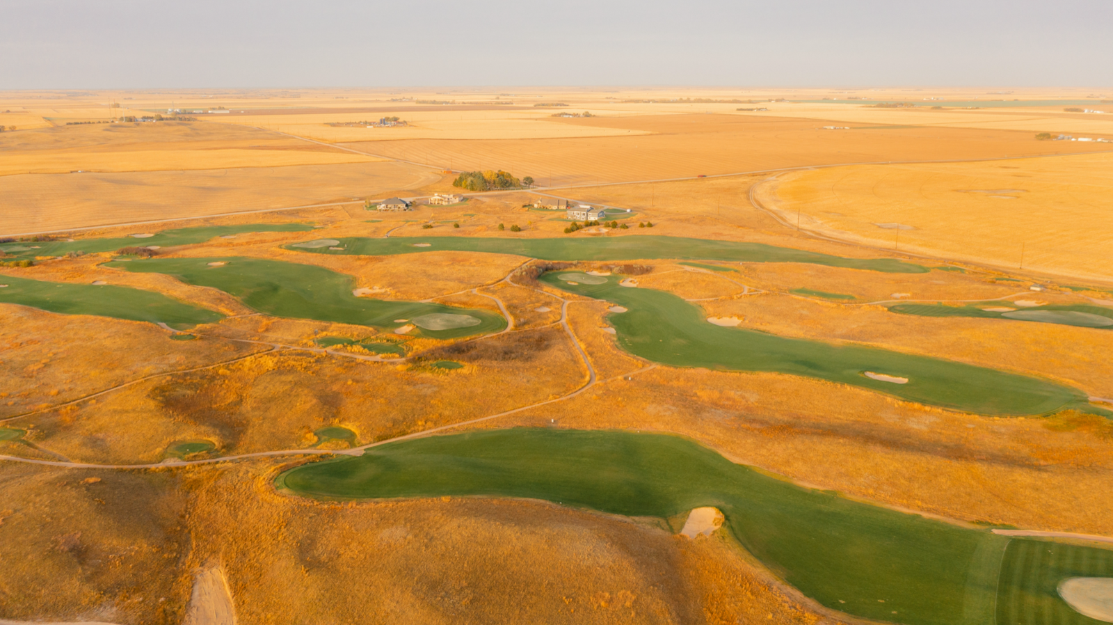 Wild Horse - The Back Nine